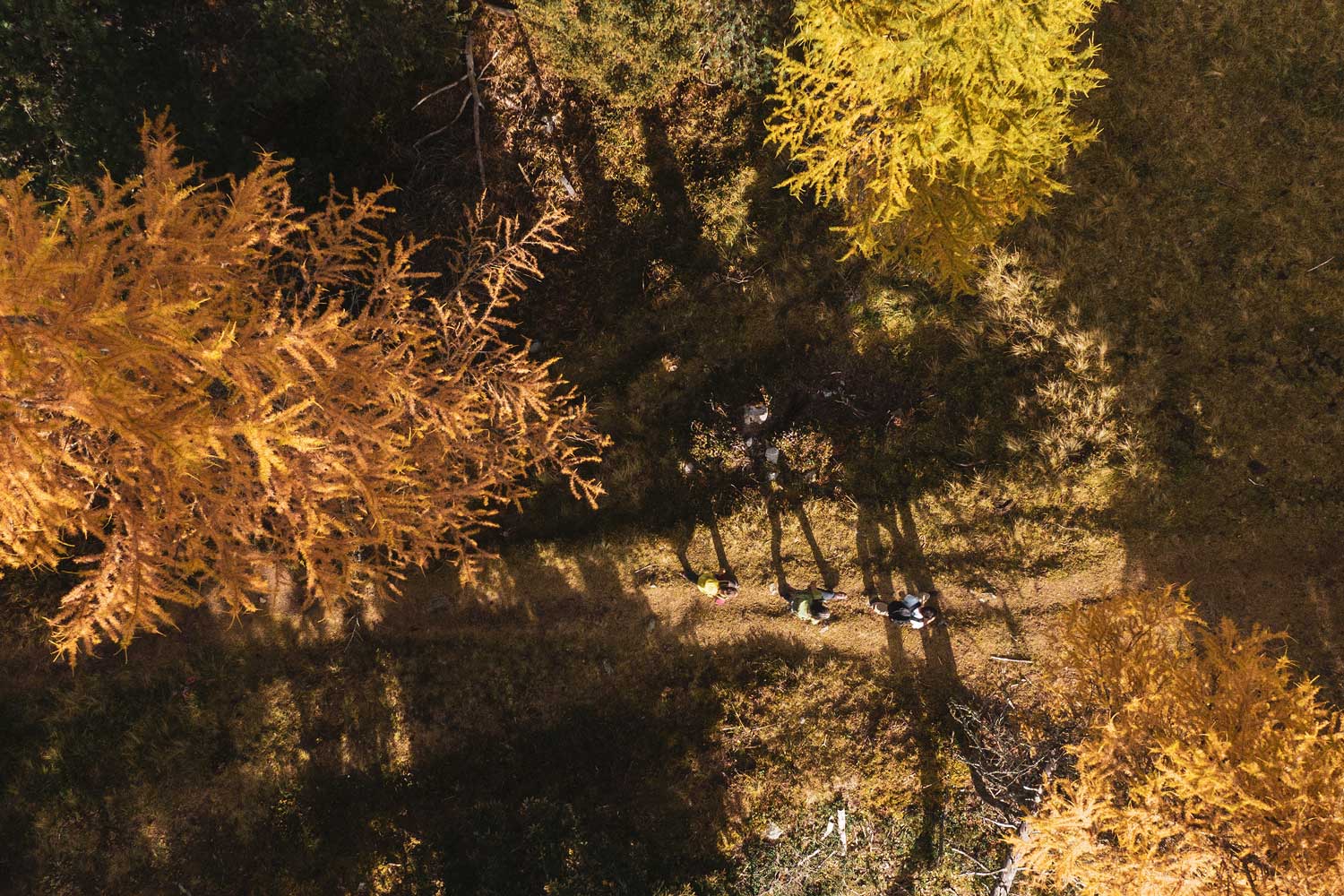Herbstlich geniessen mit goldenen Momenten am Heidsee in Valbella Lenzerheide.